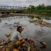 Indonesia: 98 percent of rivers polluted 