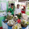 Tay Ninh promotes safe agricultural products, foodstuff in HCM City