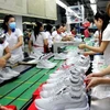 Footwear, handbag sector targets export revenue of 24 billion USD