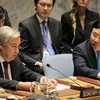 Vietnamese Deputy PM chairs open debate on observance of UN Charter