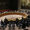 Vietnam presides over UNSC session on Yemen, Colombia
