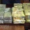 Nghe An, Thanh Hoa police seize huge amount of trafficked drug 