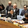 Vietnam chairs UNSC open debate on Middle East situation 