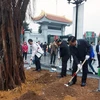 Hanoi to plant about 120,000 new trees this spring