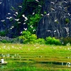 Exploring Van Long Wetland Nature Reserve in Ninh Binh