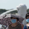 Singaporean firms suspend operations in China due to coronavirus 