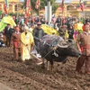 Annual ploughing festival opens in Ha Nam province
