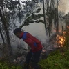 Indonesian President orders long-term solution to forest fires 