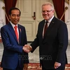 Indonesia, Australia agree to foster trade cooperation 