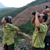 WWF-Vietnam, GreenViet work to protect endangered primates