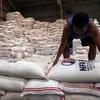 Philippines to remain largest rice importer in 2020