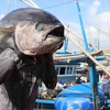 International cooperation key to promoting Vietnam’s tuna brand