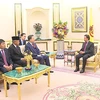 Public security minister pays courtesy call to Sultan of Brunei