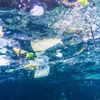 Malaysia is top plastic ocean polluter in Asia: WWF