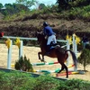 Olympic horse riding club opens in Lam Dong