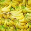 Philippine banana growers struggle due to COVID-19