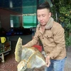 Nghe An man to set free 30kg sea turtle