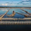 Nature reserve founded in Thua Thien-Hue province