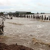 Mekong Delta grapples with erosion, subsidence