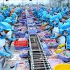 Vietnamese seafood exporters not too worried about COVID-19