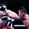 Vietnamese boxers punching above their weight