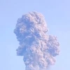 Volcanic eruption forces Indonesia airport closure 
