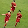 Vietnam-Kyrgyzstan friendly match postponed