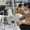 Japan provides top care for Vietnamese guest workers