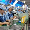 Ha Nam devises measures to support FDI firms in COVID-19 fight