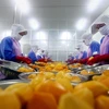 Vietnam calls for investment in fruit, vegetable processing
