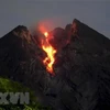 Most active volcano in Indonesia erupts again