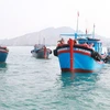 Ninh Thuan popularises Fisheries Law among fishermen to fight IUU fishing 