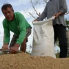 Philippines plans to increase rice imports to ensure domestic supply