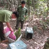 25 wild animals released into Bu Gia Map National Park