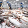 Tra fish exports to US, China rise in March