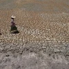 Thailand faces severe drought, rising unemployment