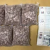 Major drug ring busted in Singapore