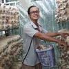 Organic mushroom grower finding stable customers
