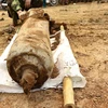 100kg bomb deactivated in Dien Bien