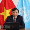 Vietnam backs two-state solution to Israeli-Palestinian conflict