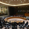 UNSC discusses Kosovo mission’s operation