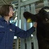 Australia funds training of “animal disease detectives”