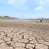 Drought, saltwater dry up Mekong Delta’s largest reservoir