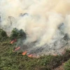 Forest fires complicate COVID-19 fight in Indonesia