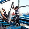 Ministry: China’s suspension of fishing in Vietnam’s waters meaningless
