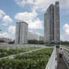 Singapore to build farms on carpark rooftops