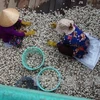 Tra Vinh to expand clam farming areas