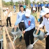 Tree planting campaigns launched to mark President Ho Chi Minh’s birth anniversary