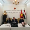 Webinar on President Ho Chi Minh held in Egypt