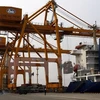 Hai Phong international terminal welcomes super-heavy vessels